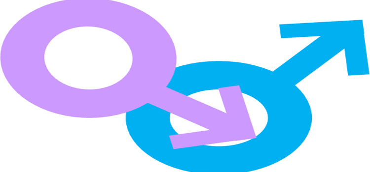 L’omosessuale che ci appartiene