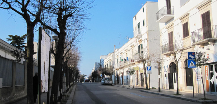 Smog e alberi a Noci, quando l’aria diventa irrespirabile