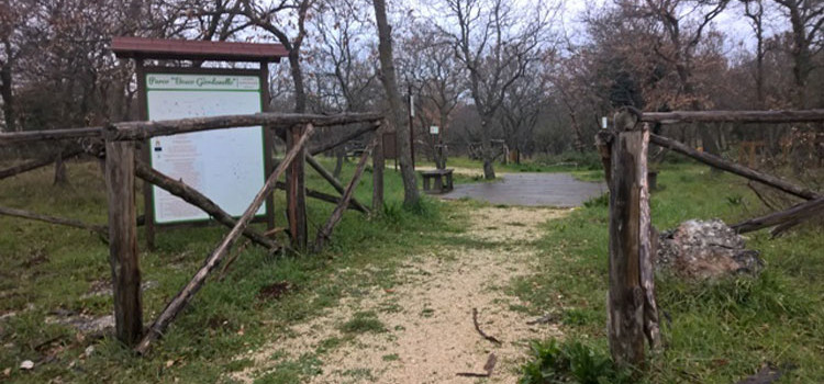 Il ritorno del bosco a Noci