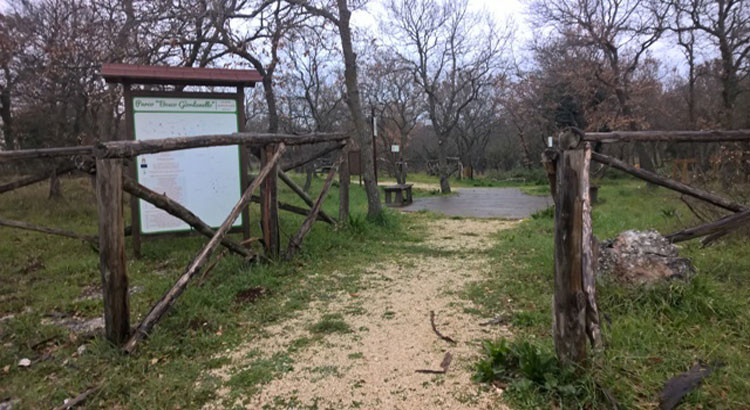 Il ritorno del bosco a Noci Il ritorno del bosco a Noci