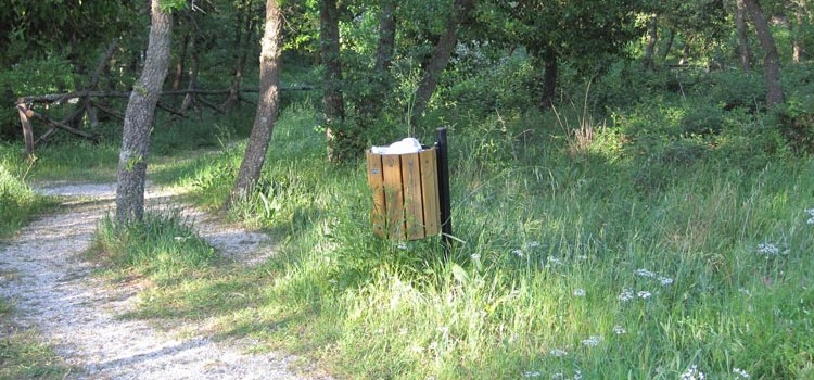 Bosco Giordanello, rifiuti ed erba alta