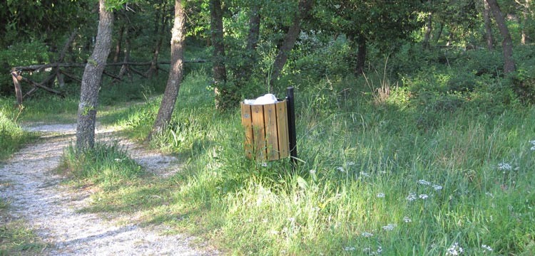 Bosco Giordanello, rifiuti ed erba alta Bosco Giordanello, rifiuti ed erba alta