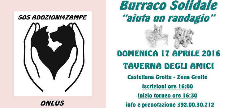 Un torneo di burraco per aiutare i randagi