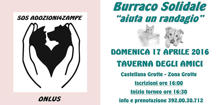 Un torneo di burraco per aiutare i randagi