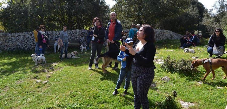 Camminare nei boschi a 2 o a 6 zampe Camminare nei boschi a 2 o a 6 zampe