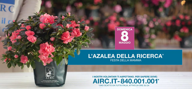 Combattiamo la malattia per festeggiare la vita