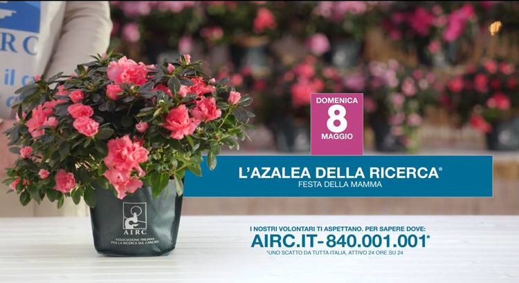 Combattiamo la malattia per festeggiare la vita