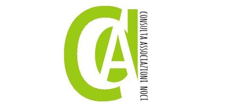 Consulta delle Associazioni, rinnovo delle cariche