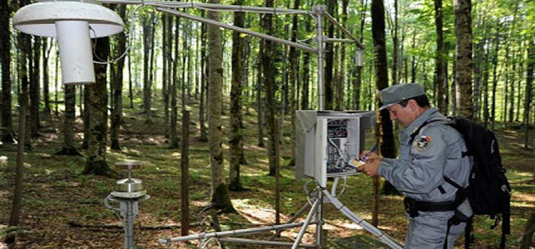 CFS: online tutte le informazioni sulle foreste italiane