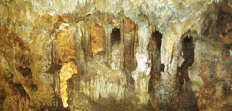 Le grotte di Noci, un patrimonio da salvaguardare Le grotte di Noci, un patrimonio da salvaguardare