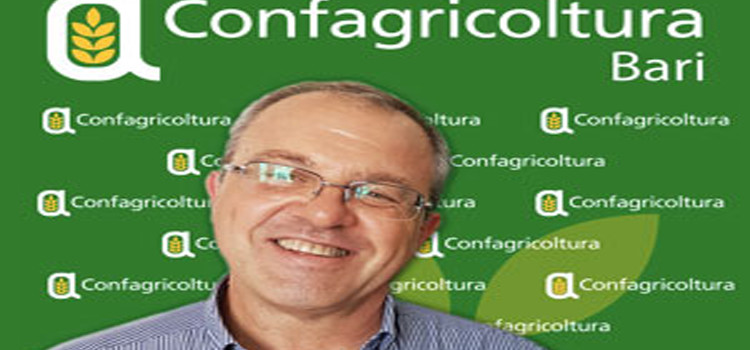 Nuovo contratto operai agricoli, Lacenere: “questo accordo soddisfa tutte le parti interessate” Nuovo contratto operai agricoli, Lacenere: “questo accordo soddisfa tutte le parti interessate”