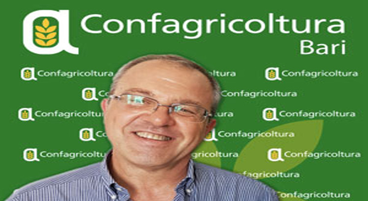 Nuovo contratto operai agricoli, Lacenere: “questo accordo soddisfa tutte le parti interessate” Nuovo contratto operai agricoli, Lacenere: “questo accordo soddisfa tutte le parti interessate”