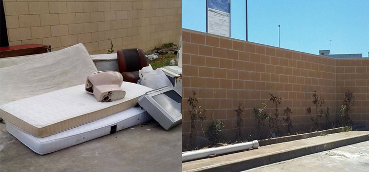 Rifiuti: dai social alla realtà Rifiuti: dai social alla realtà