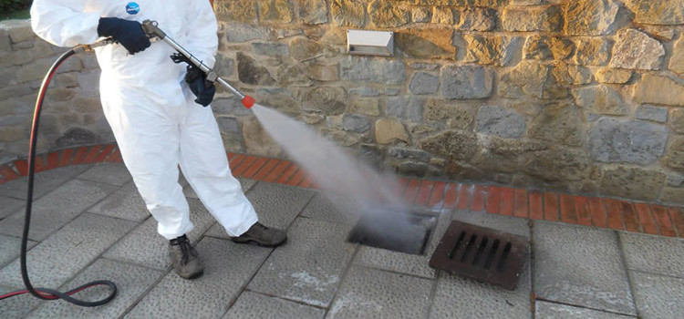 Avviso di disinfestazione