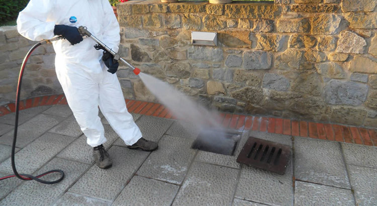 Interventi di disinfestazione, deblattizzazione e derattizzazione Interventi di disinfestazione, deblattizzazione e derattizzazione