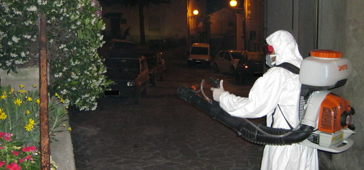 Interventi di disinfestazione, deblattizzazione e derattizzazione
