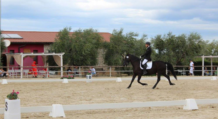 Dressage: argento regionale per il binomio Filioli-Betulla Dressage: argento regionale per il binomio Filioli-Betulla