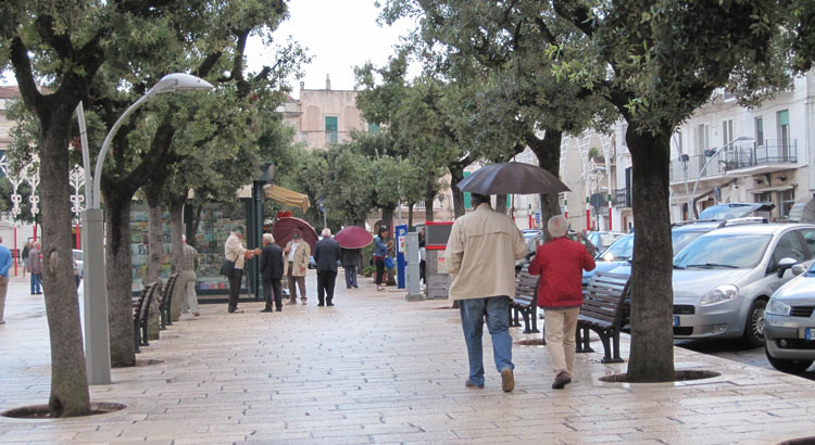 Maltempo: la pioggia causa disagi Maltempo: la pioggia causa disagi