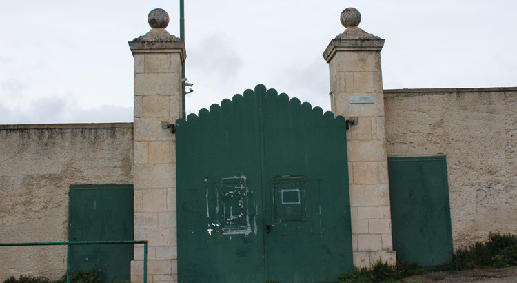 Lo stato dell’arte delle struttre sportive comunali Lo stato dell’arte delle struttre sportive comunali