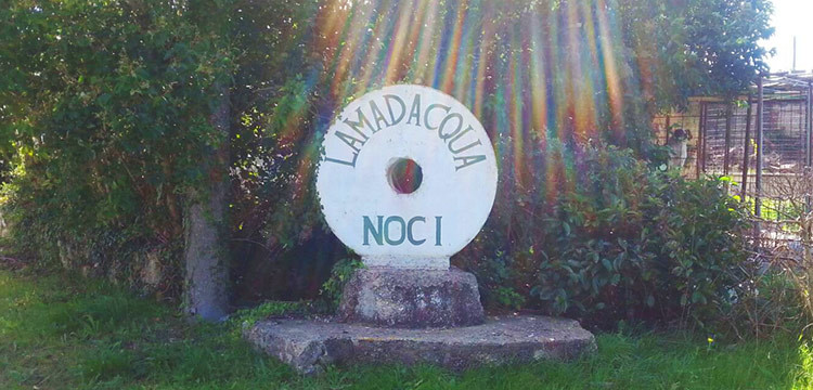 Interruzione di energia elettrica a Lamadacqua