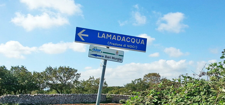 Lamadacqua: le origini, la storia (parte prima)