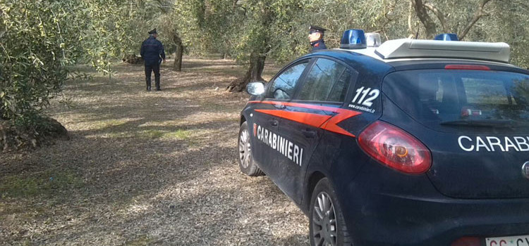 Reati contro il patrimonio, Carabinieri sventano furto in appartamento Reati contro il patrimonio, Carabinieri sventano furto in appartamento