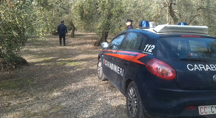 Reati contro il patrimonio, Carabinieri sventano furto in appartamento Reati contro il patrimonio, Carabinieri sventano furto in appartamento