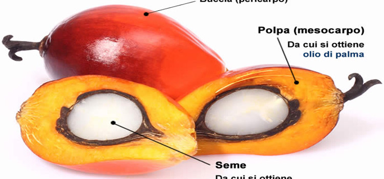 Olio di palma: rischi per la salute? Olio di palma: rischi per la salute?