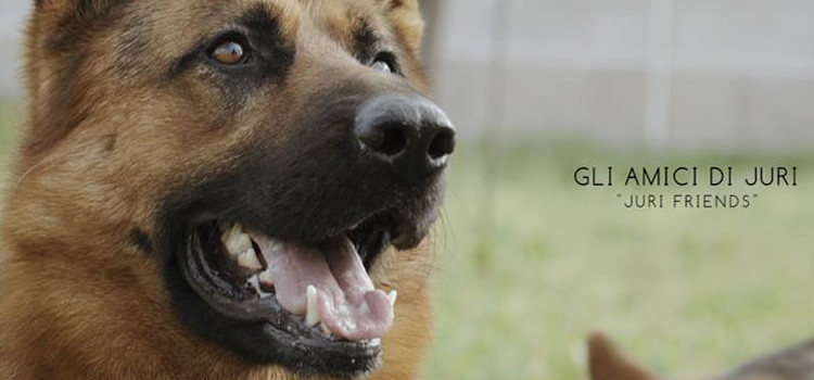 Gli amici di Juri, boom di visualizzazioni sui social