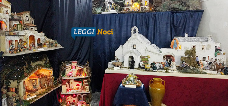 SpaccaNoci: un mix di arte e passione SpaccaNoci: un mix di arte e passione