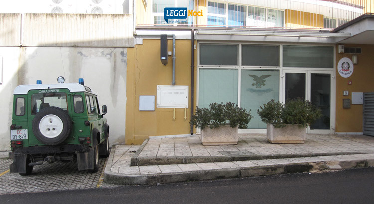 Forestali operano maxi sequestro di shoppers illegali