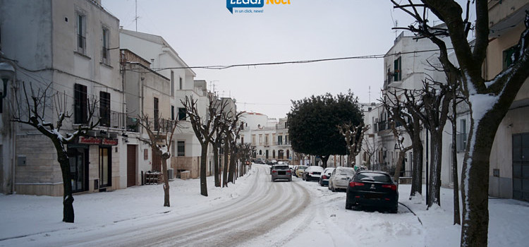 Emergenza maltempo: Noci nella morsa del gelo