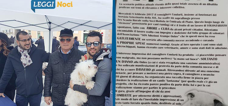 Cani e legalità: maggioranza e opposizione scendono in piazza
