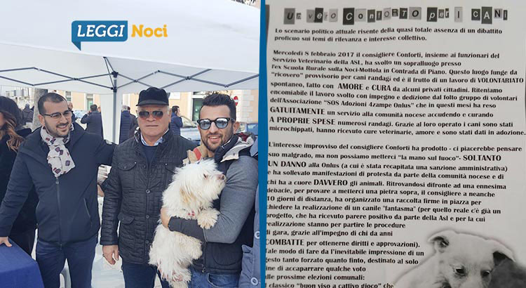 Cani e legalità: maggioranza e opposizione scendono in piazza Cani e legalità: maggioranza e opposizione scendono in piazza