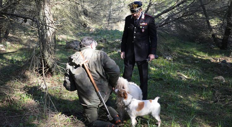 Parco Alta Murgia: scoperti falsi tesserini per raccogliere tartufi