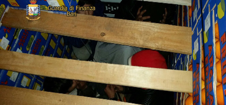 Quattro clandestini tra le arance, arrestati due camionisti stranieri