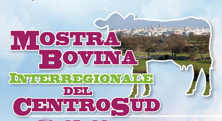 Zootecnia: al Foro Boario l’11^ edizione della Mostra Bovina Interregionale Zootecnia: al Foro Boario l’11^ edizione della Mostra Bovina Interregionale