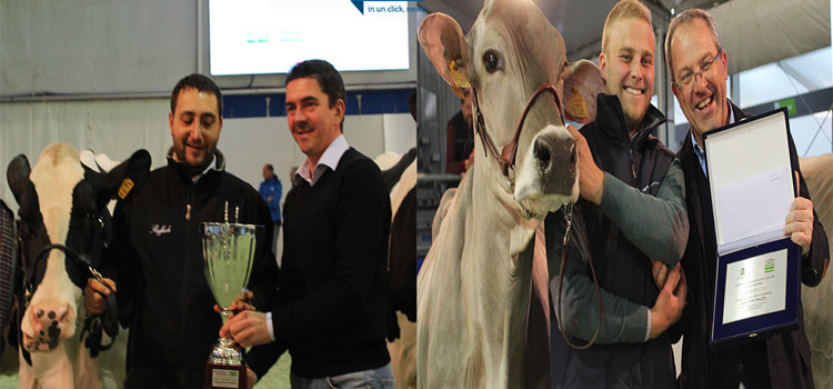 Mostra bovina del centrosud, il mondo allevatoriale al centro