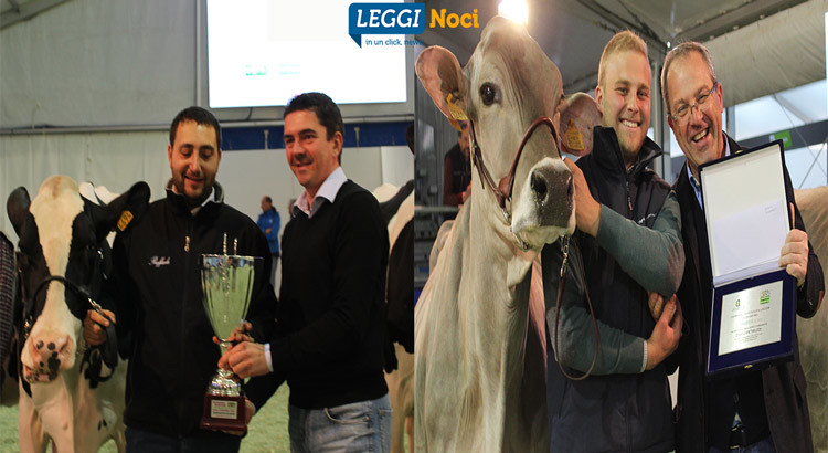 Mostra bovina del centrosud, il mondo allevatoriale al centro