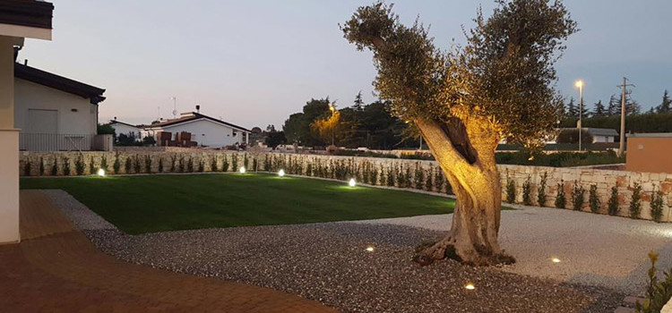 Green Gest, la passione per il verde Green Gest, la passione per il verde