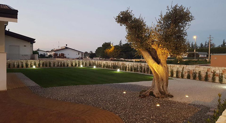 Green Gest, la passione per il verde Green Gest, la passione per il verde