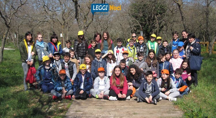La Scuola nel bosco