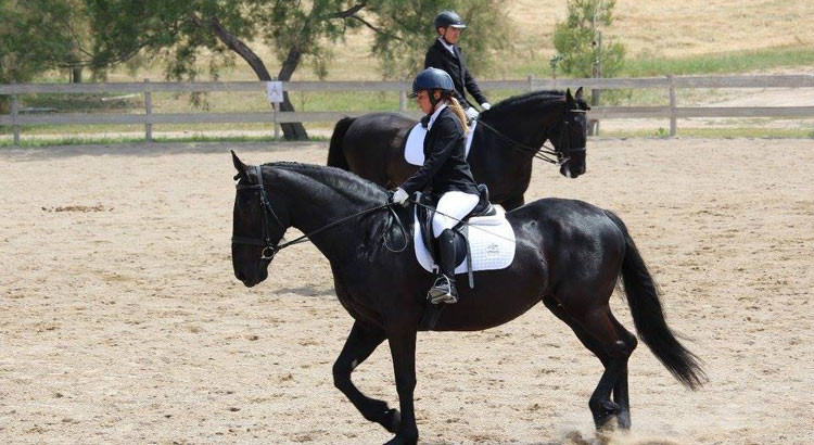 Concorso nazionale di dressage, a Taranto buoni piazzamenti del CIM