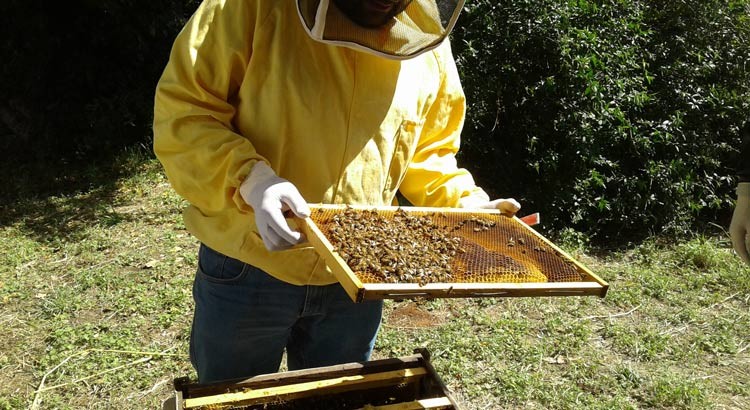 Gli studenti del liceo “Da Vinci-Galilei” a contatto con la natura