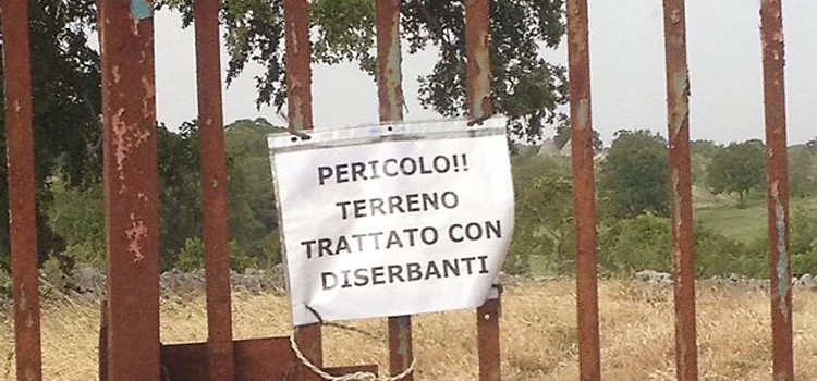 DISERBO NOCIvo: “#dalleparoleaifatti”?