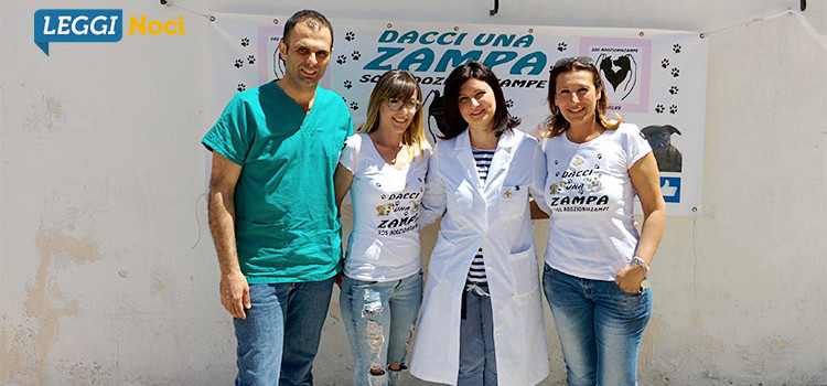 Microchip Day: una giornata per sensibilizzare alla corretta detenzione di un cane padronale Microchip Day: una giornata per sensibilizzare alla corretta detenzione di un cane padronale