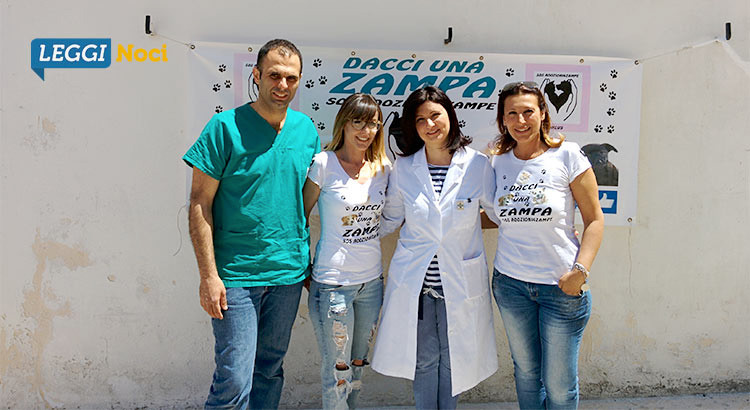 Microchip Day: una giornata per sensibilizzare alla corretta detenzione di un cane padronale