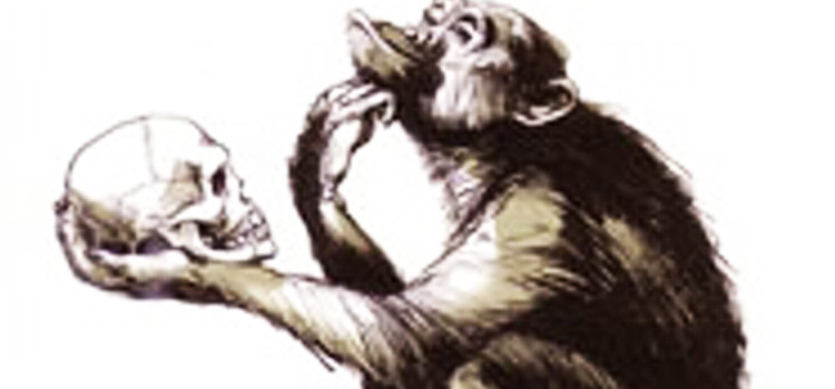 Manchester: quando la devozione divina schiaccia la coscienza individuale