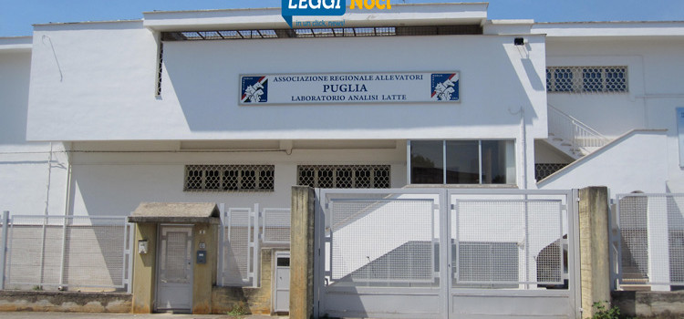 Brusco taglio finanziamenti, sconcerto vertici AIA