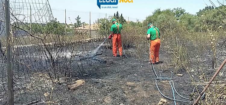 Bruciano 700mq di incolto, avviati accertamenti in materia di AIB